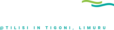 The Mist Logo